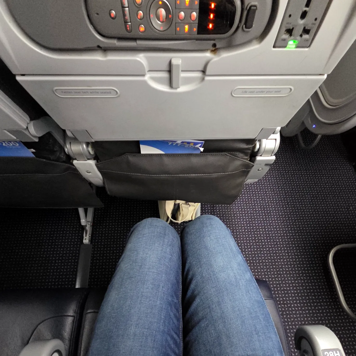 American Airlines Flight View