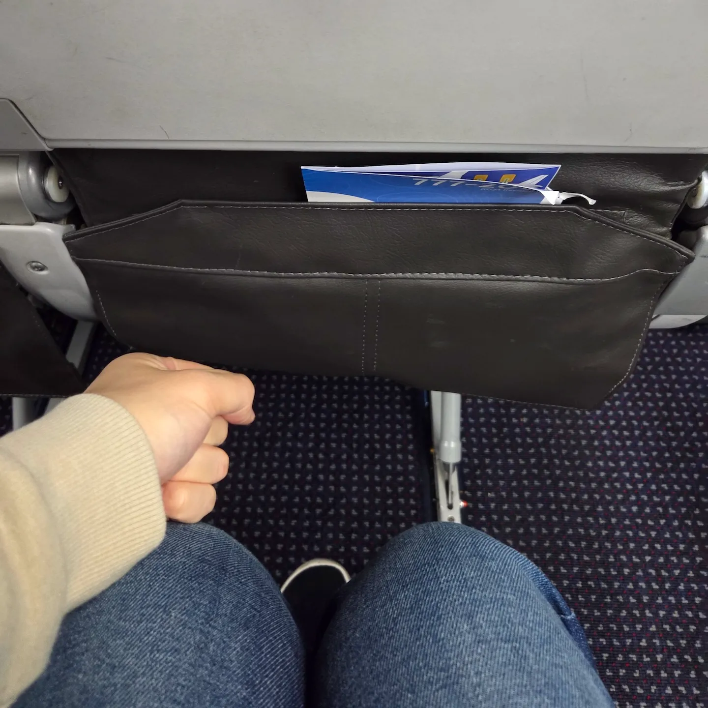 American Airlines Flight View
