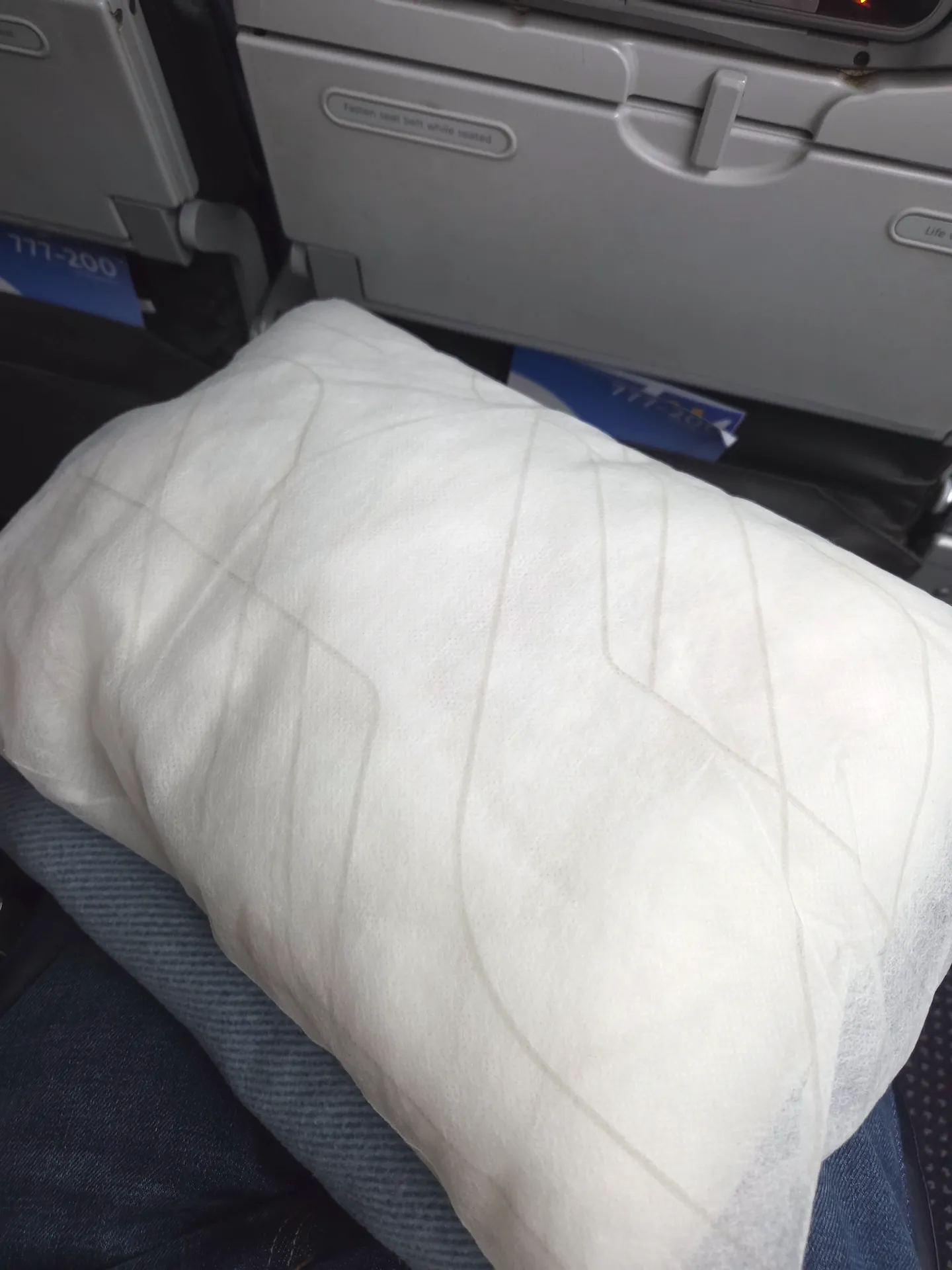 American Airlines Long-haul Economy Class Pillow and Blanket Amenities
