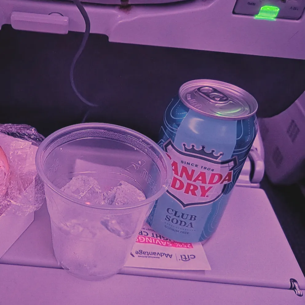 Complimentary Soft Drinks Served During American Airlines Flight AA280