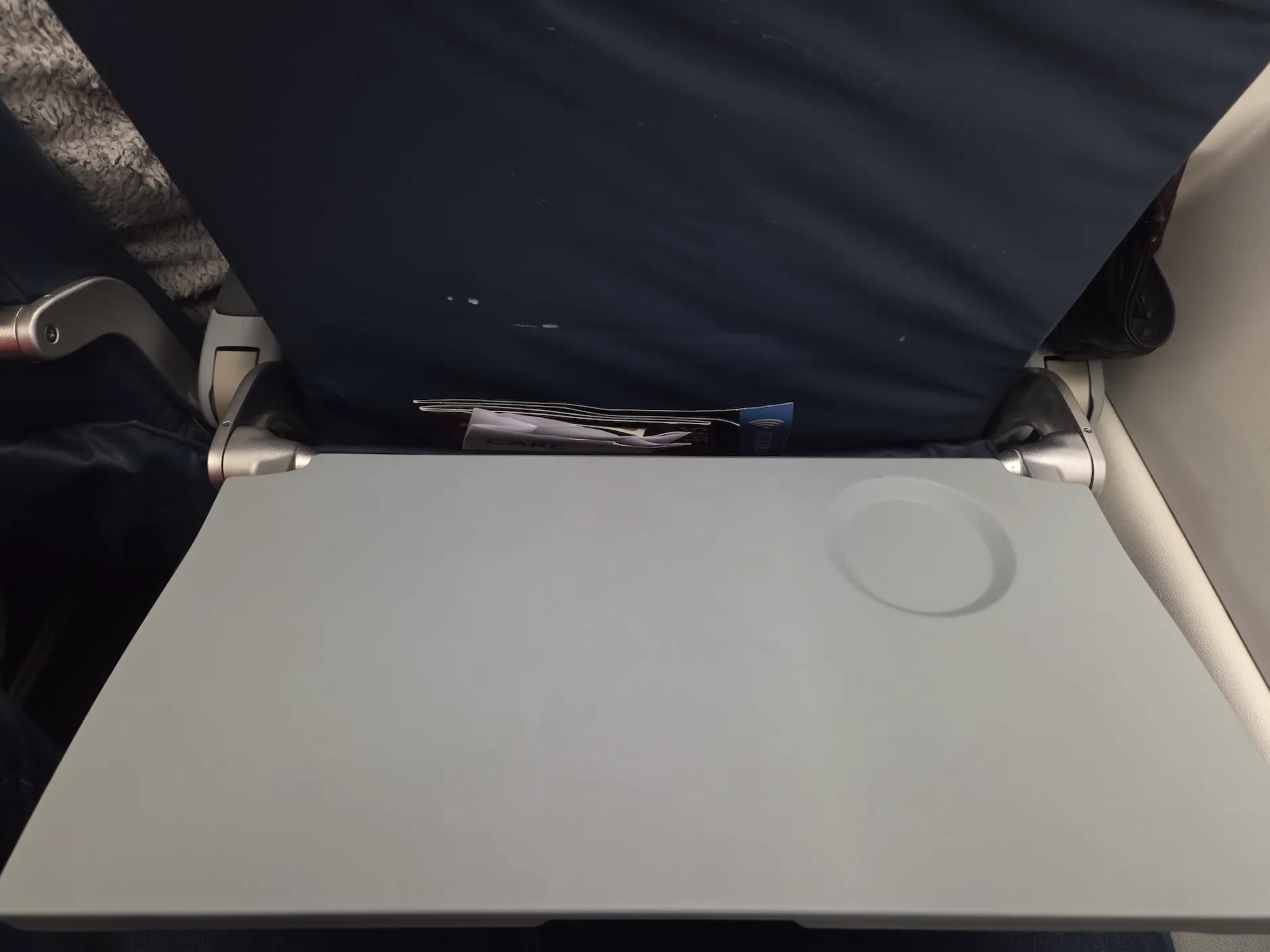 Delta Air Lines A220-100 passenger service unit, tray table, and seatback pocket