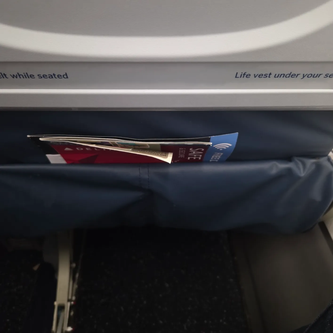 Delta Air Lines A220-100 passenger service unit, tray table, and seatback pocket