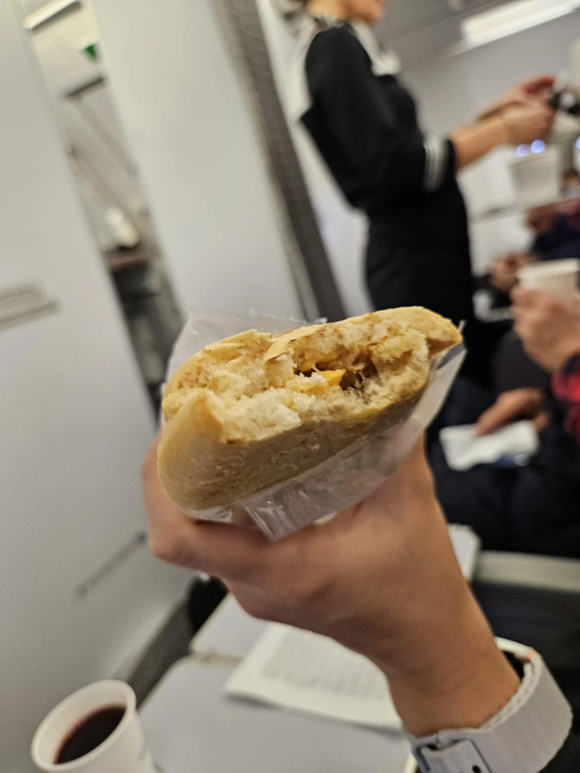 Finnair Pre-order Meal Nordic Combo (Left), Panini (Right)