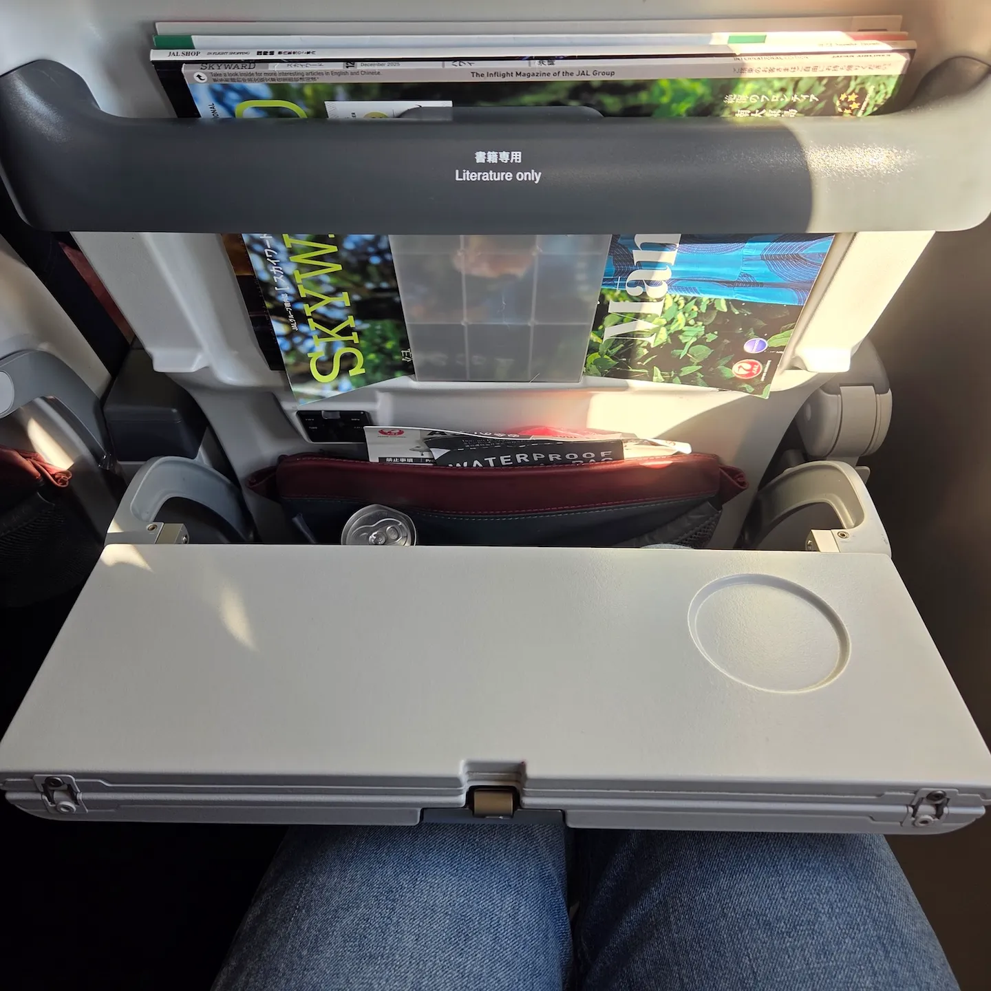 일본항공 A350-1000 이코노미 클래스 테이블