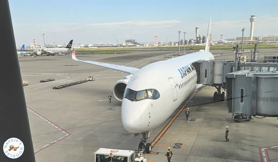 JAL First Class Boarding Gate 111 at Haneda Airport