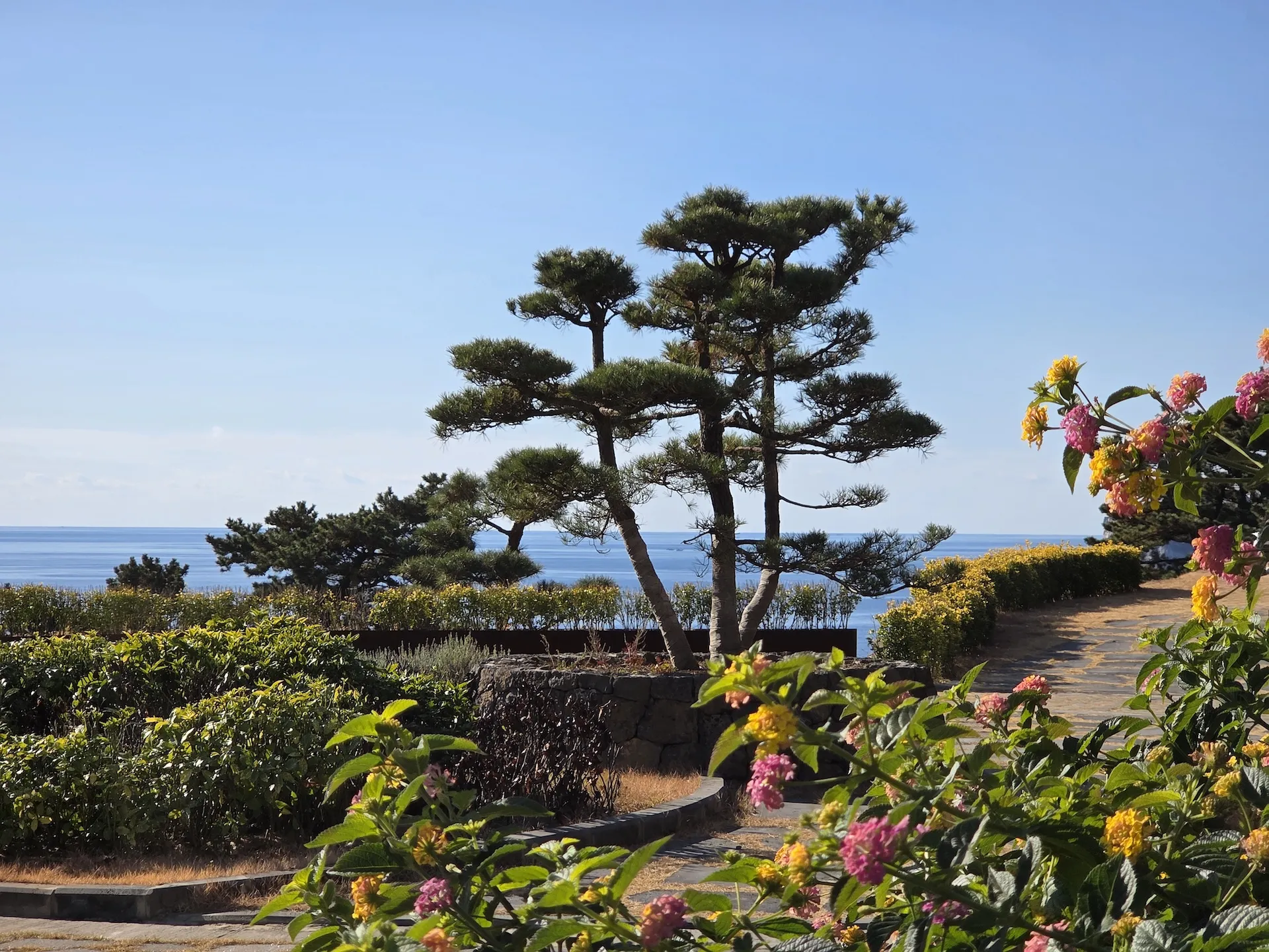 JW 메리어트 제주 리조트 & 스파