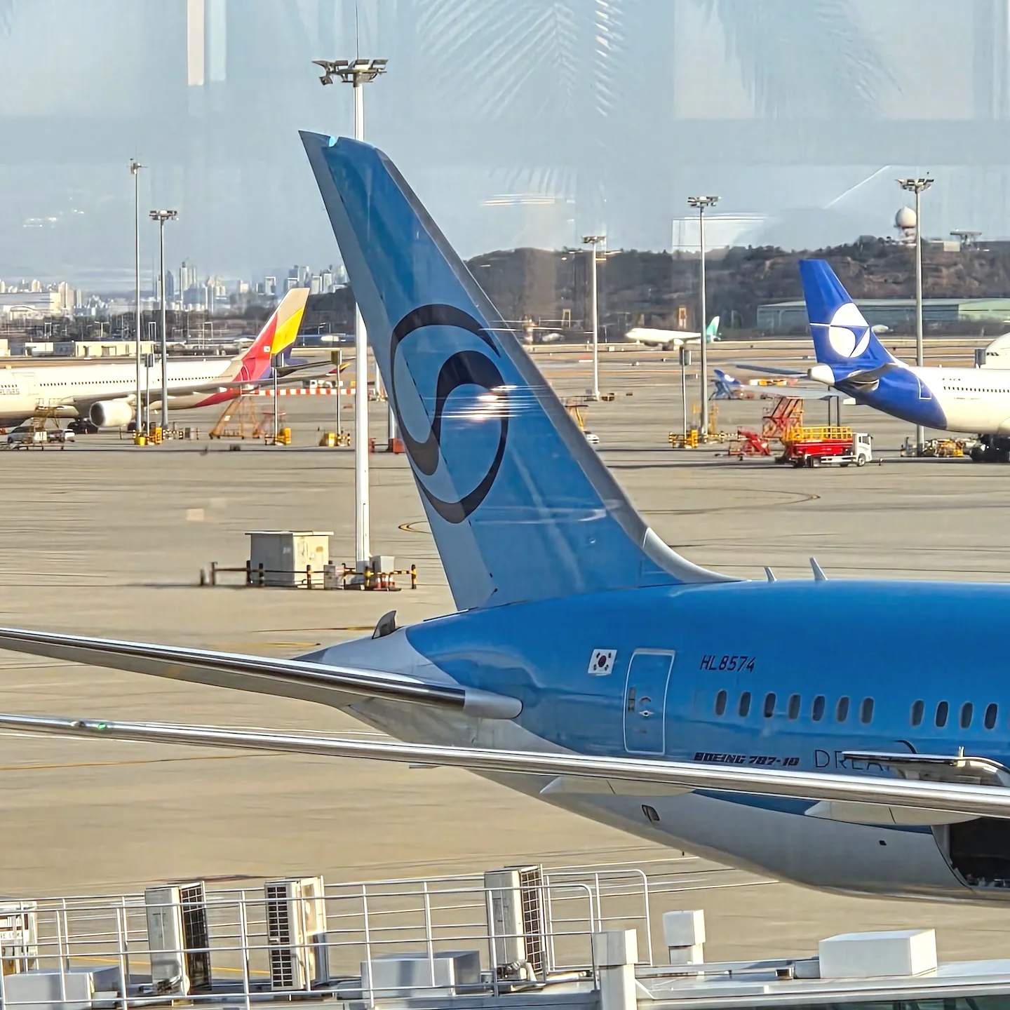 242번 게이트에 주기해있는 오늘 탑승할 대한항공 B787-10