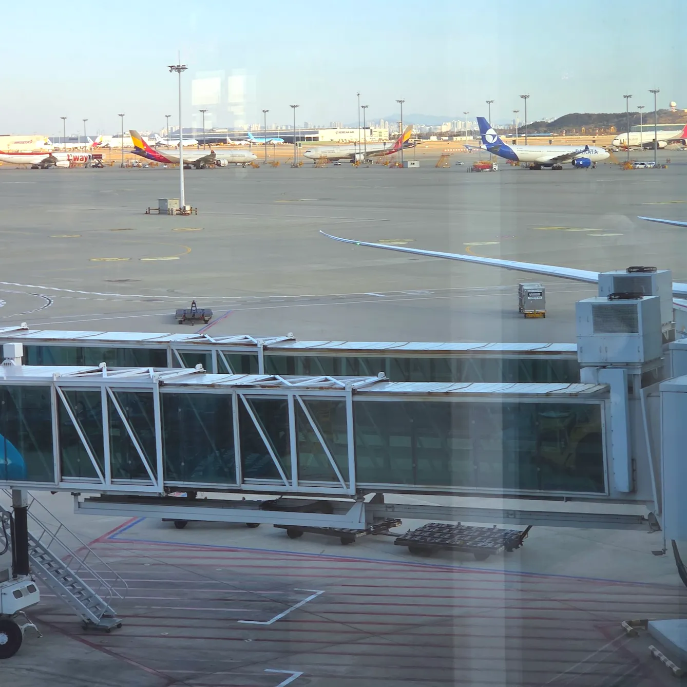 대한항공 B787-10에 연결되어있는 두 개의 탑승교